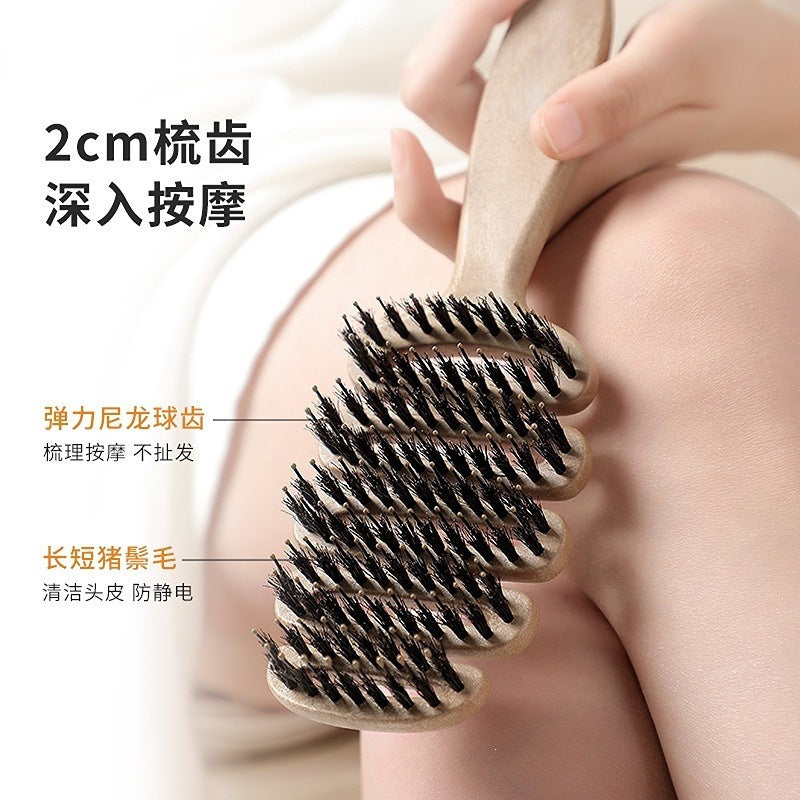 Pinecone bristle hair care comb for volumizing hair, head massage, hair smoothing, popular comb for women - image 2