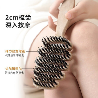 Pinecone bristle hair care comb for volumizing hair, head massage, hair smoothing, popular comb for women - image 2