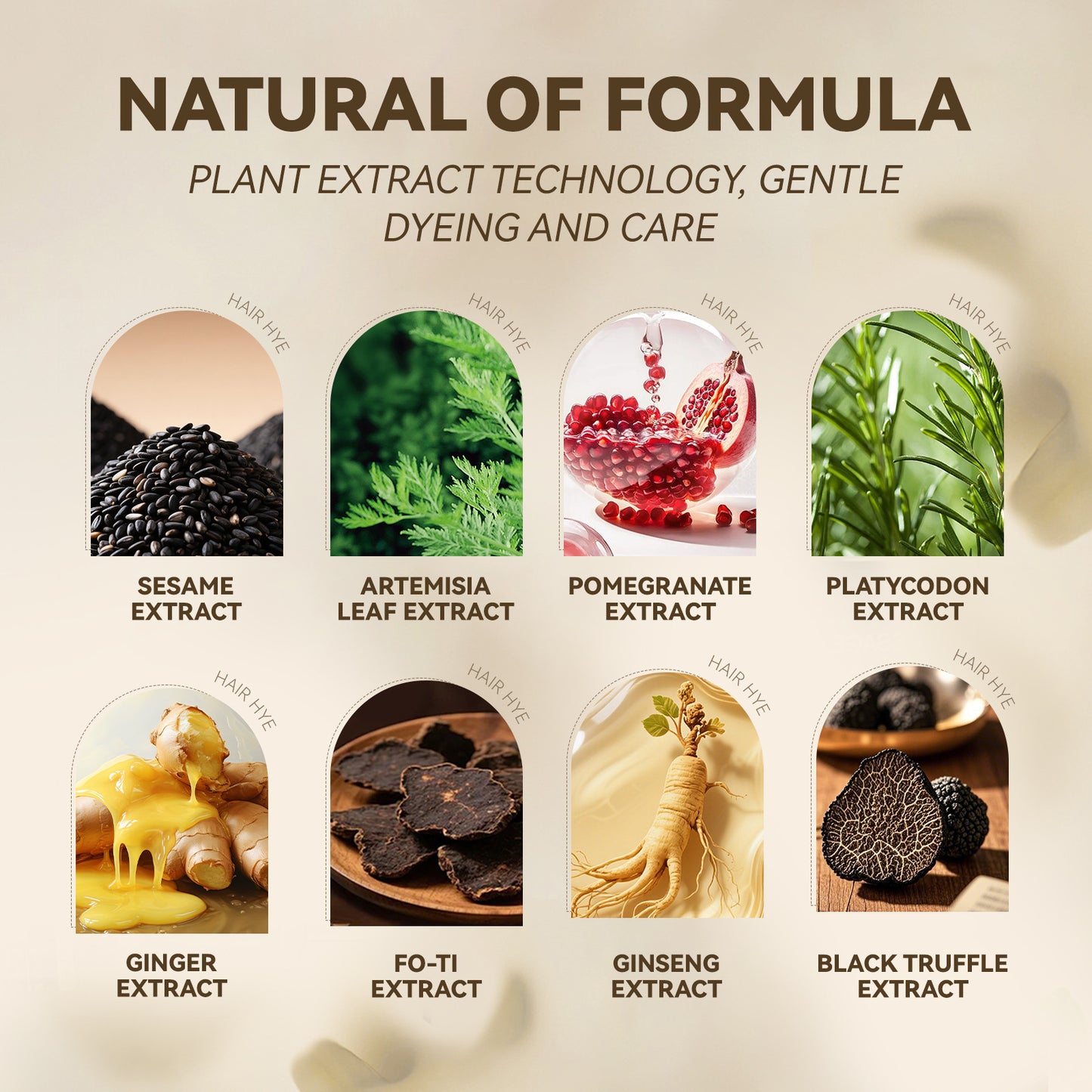 Plant Extract Hair Dye