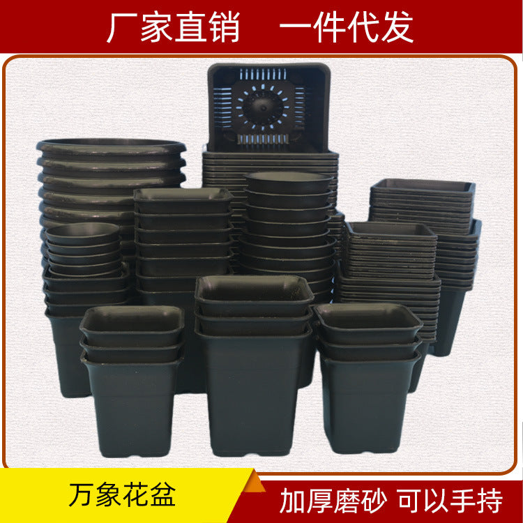 Mini plant pot orchid flower pot Vientiane pot fleshy flower pot round small flower pot plastic flower pot a generation of hair - image 1