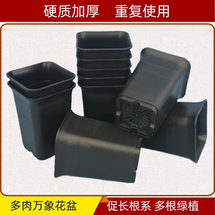 Mini plant pot orchid flower pot Vientiane pot fleshy flower pot round small flower pot plastic flower pot a generation of hair - image 2