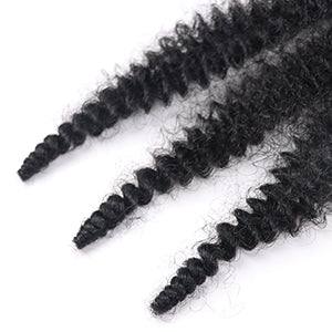 22 Inch Soft Springy Afro Twist Hair